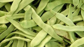 அவரைக்காய் (Flat Green Beans)
