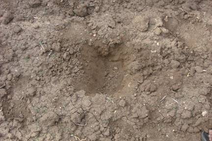 மண்மாதிரிகள் சேகரிக்கும் முறை