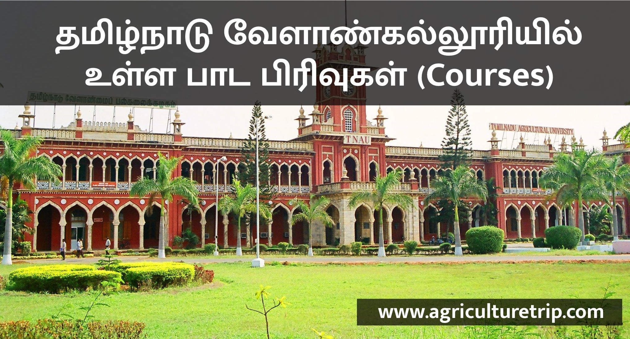 TNAU - தமிழ்நாடு வேளாண் பல்கலைக்கழகம் Courses