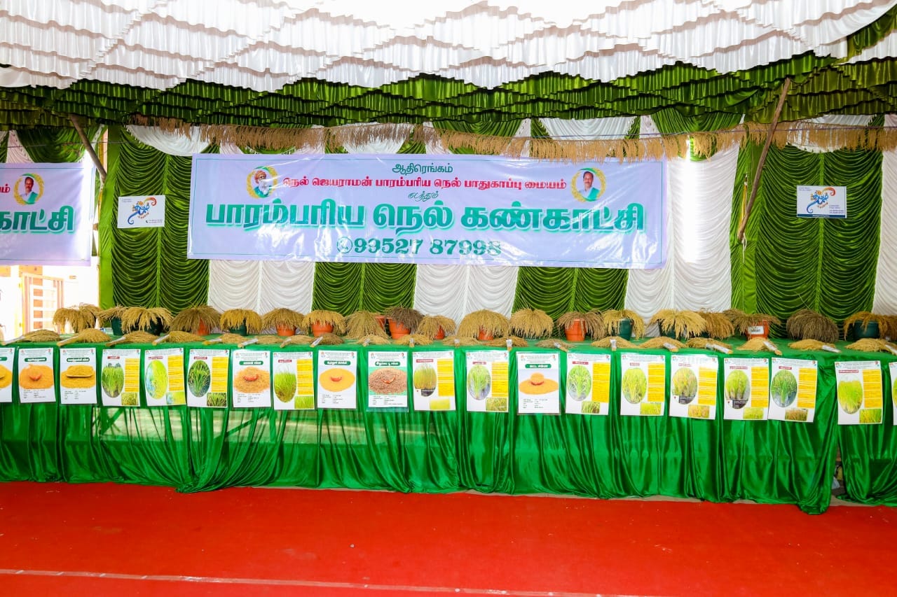 நெல் ஜெயராமன் – பாரம்பரிய நெல் விதைகளை மீட்டெடுத்த இயற்கை விவசாயி.