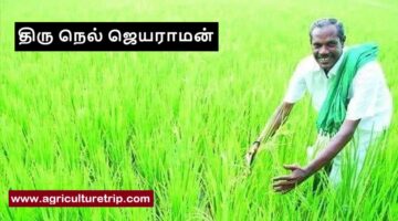 நெல் ஜெயராமன் – பாரம்பரிய நெல் விதைகளை மீட்டெடுத்த இயற்கை விவசாயி.