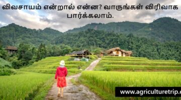 விவசாயத்தின் முக்கிய & இணைத் துறைகள் – முழுமையான வழிகாட்டி 2025