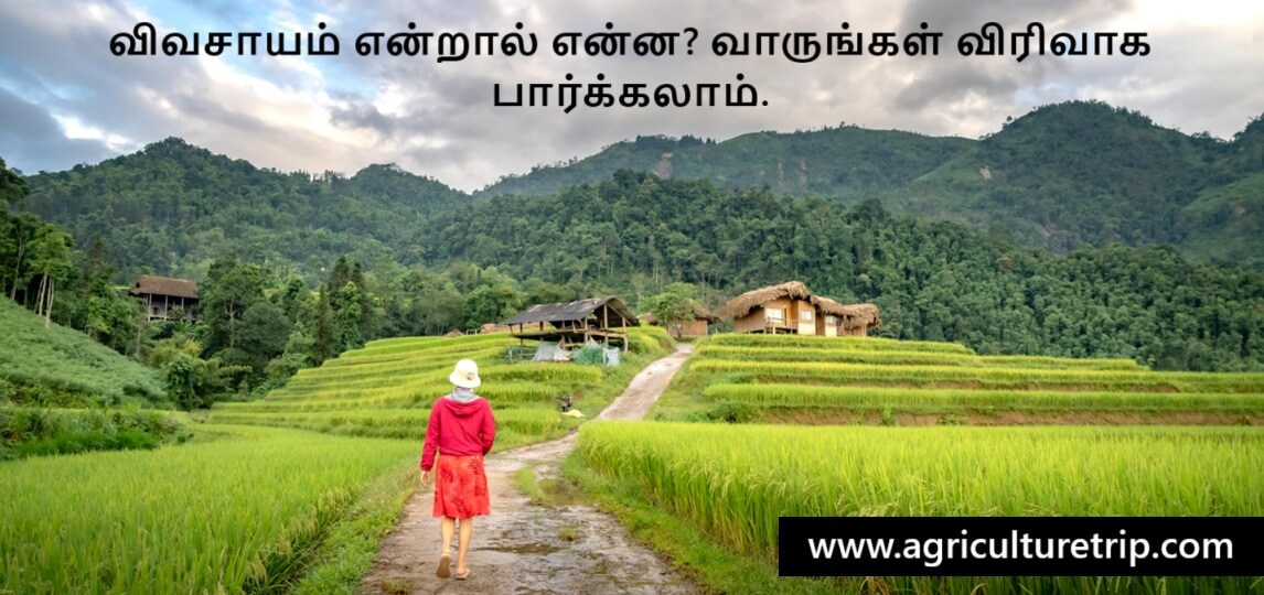 விவசாயம் என்றால் என்ன