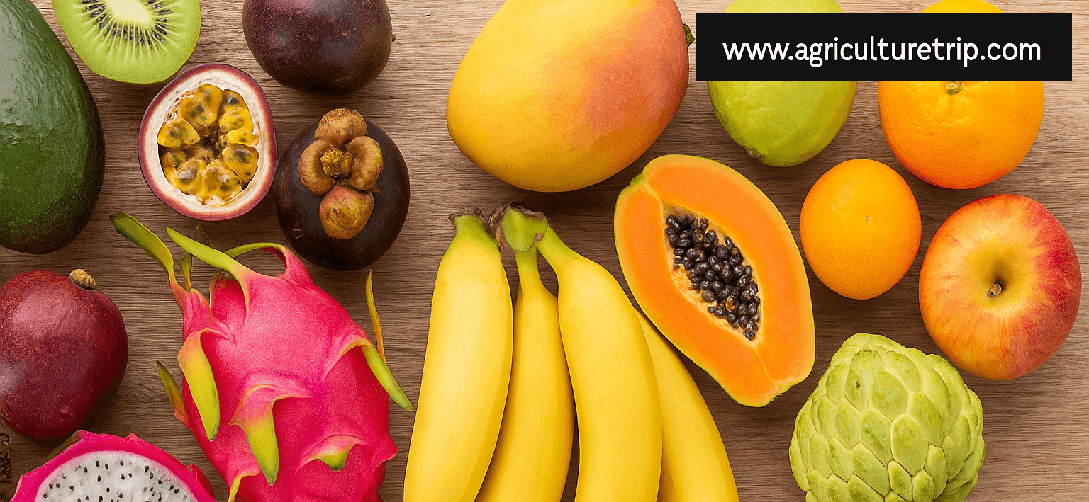 exotic-fruits-vs-indian-fruits